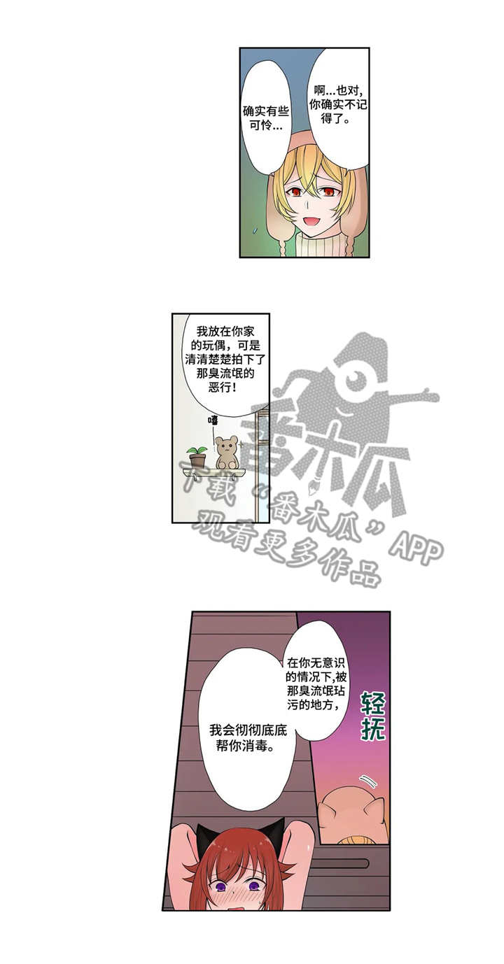 甜瓜面引子的做法漫画,第6章：真面目2图