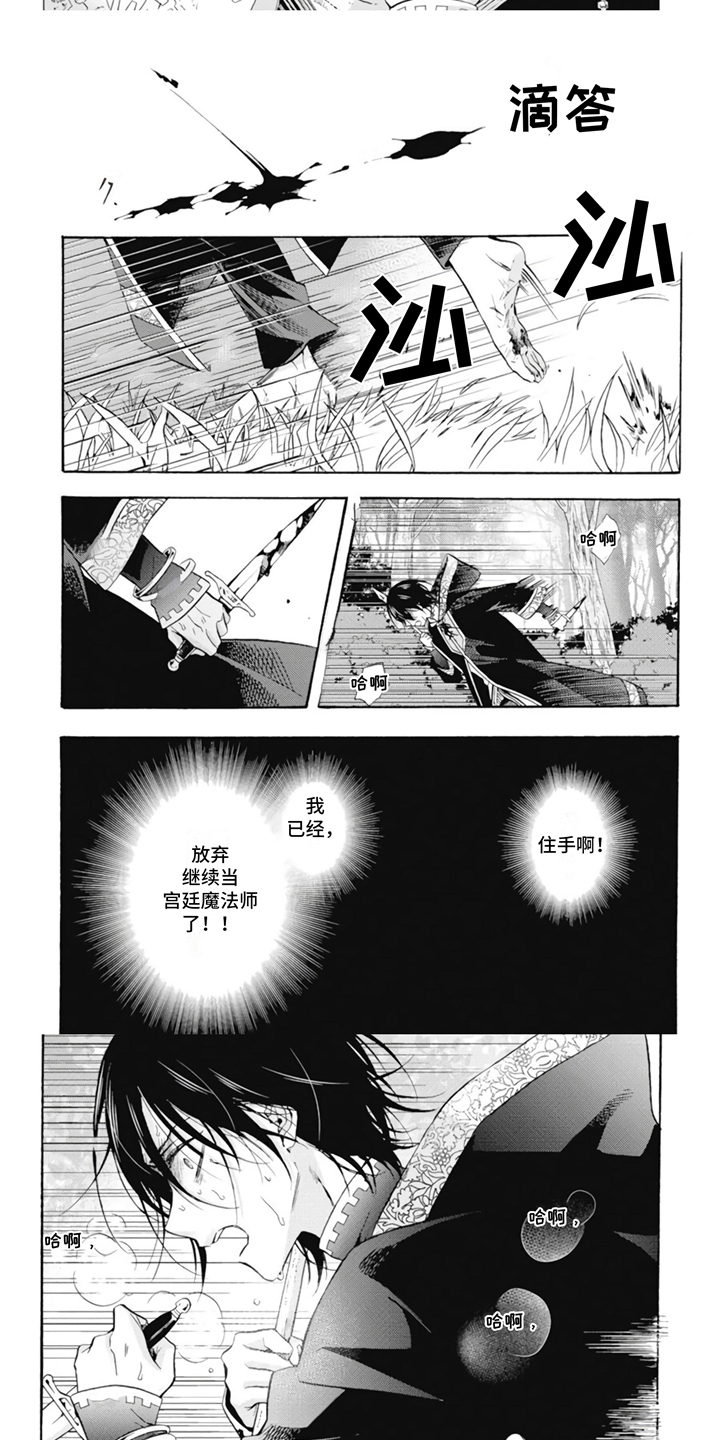 童话天堂和地狱漫画,第1章：宫廷魔法师2图