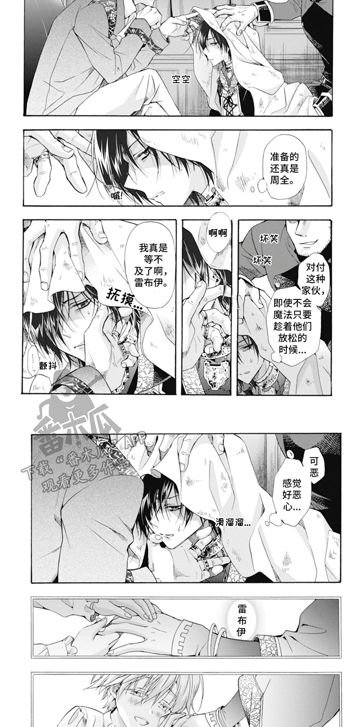 童话是地狱的尽头免费漫画漫画,第11章：收藏品2图