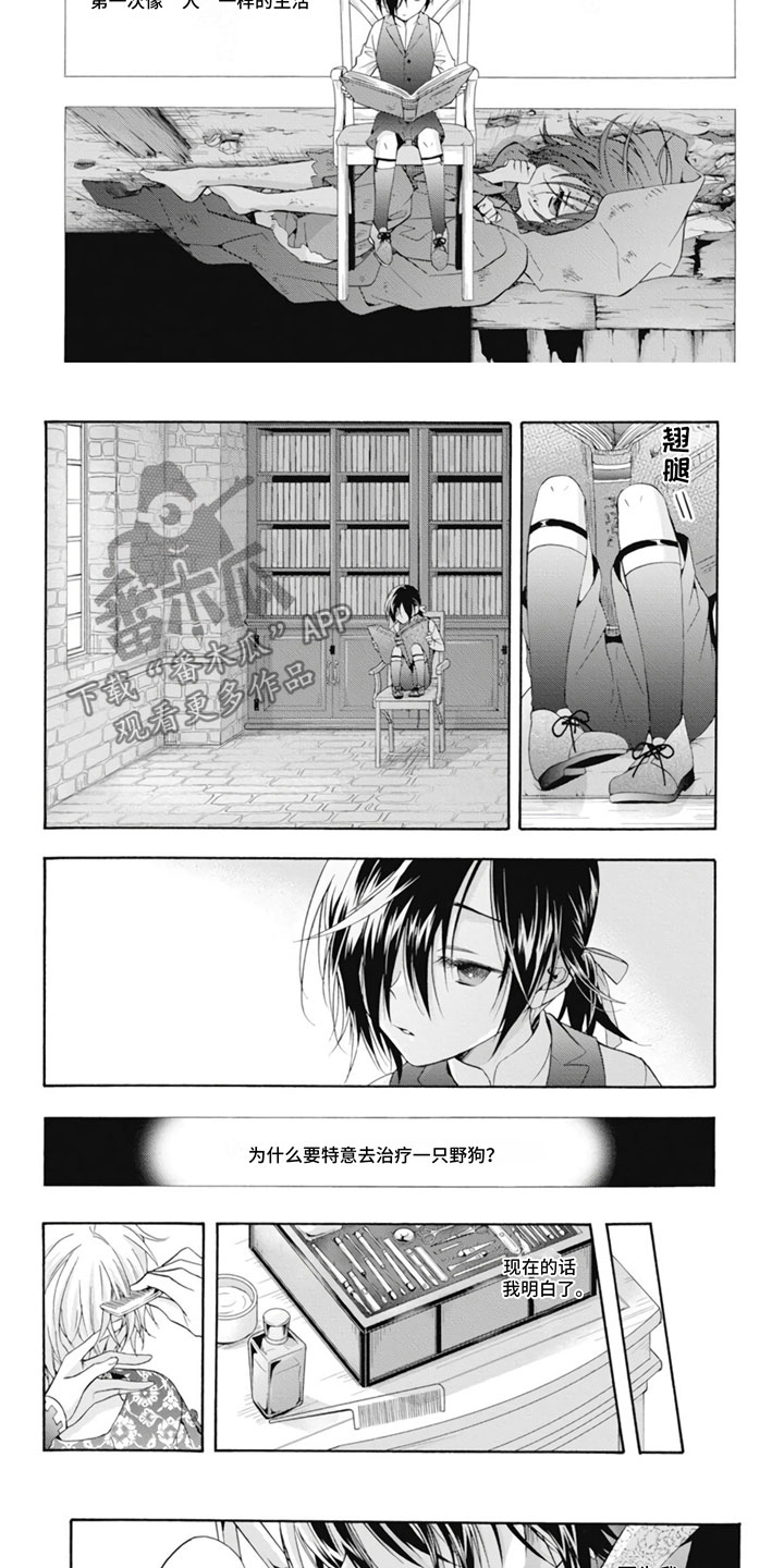 童话是灵魂救赎漫画,第25章：野狗1图