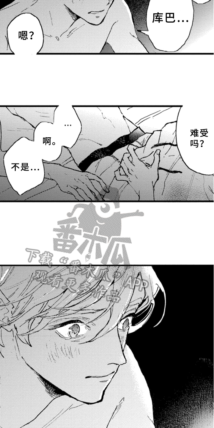 春天的树林图片大全漫画,第31章：中止1图