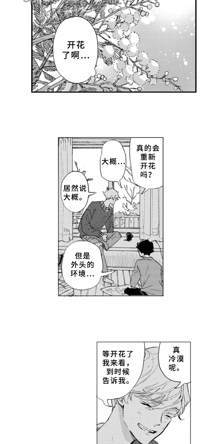 春天的树木有哪些漫画,第38章：坦诚1图