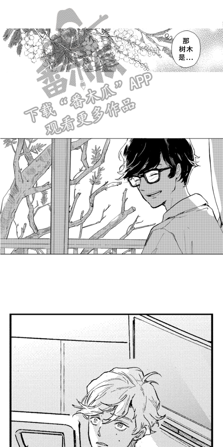 春天的树歌曲漫画,第38章：坦诚1图