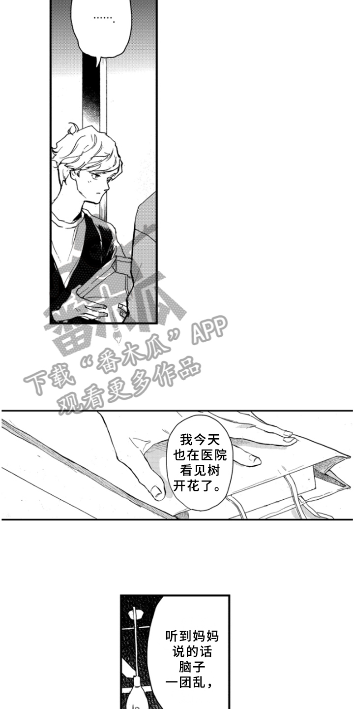 春天的树是什么夏天的树是什么秋天的树是什么漫画,第40章：释然1图