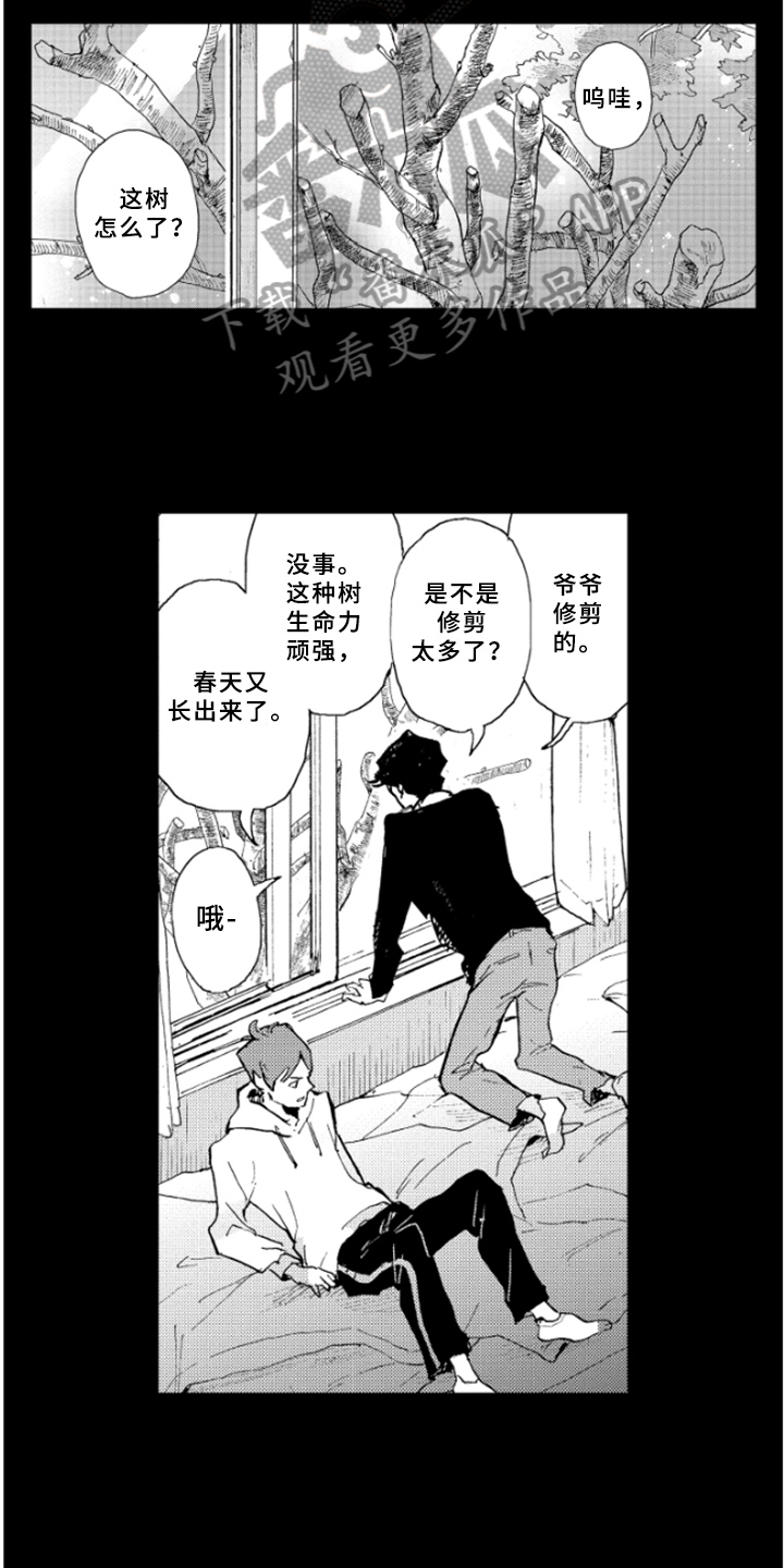 春天的树荫作文漫画,第28章：过去的回忆2图