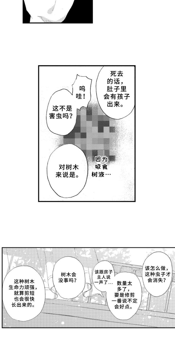 春天的树芽儿漫画,第15章：理解1图