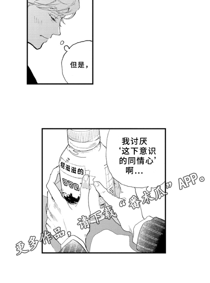 春天的树摄影作品漫画,第20章：说明2图