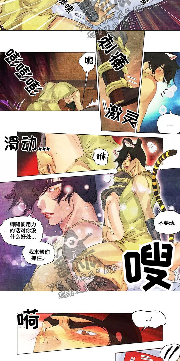 第一百个夜晚 贾浅浅漫画,第38章：耀眼的光2图