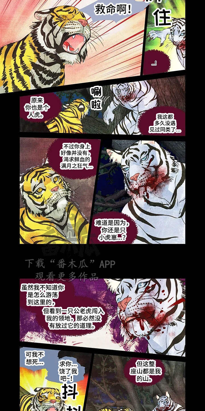 第一百个春天廖昌永简谱漫画,第12章：领地2图