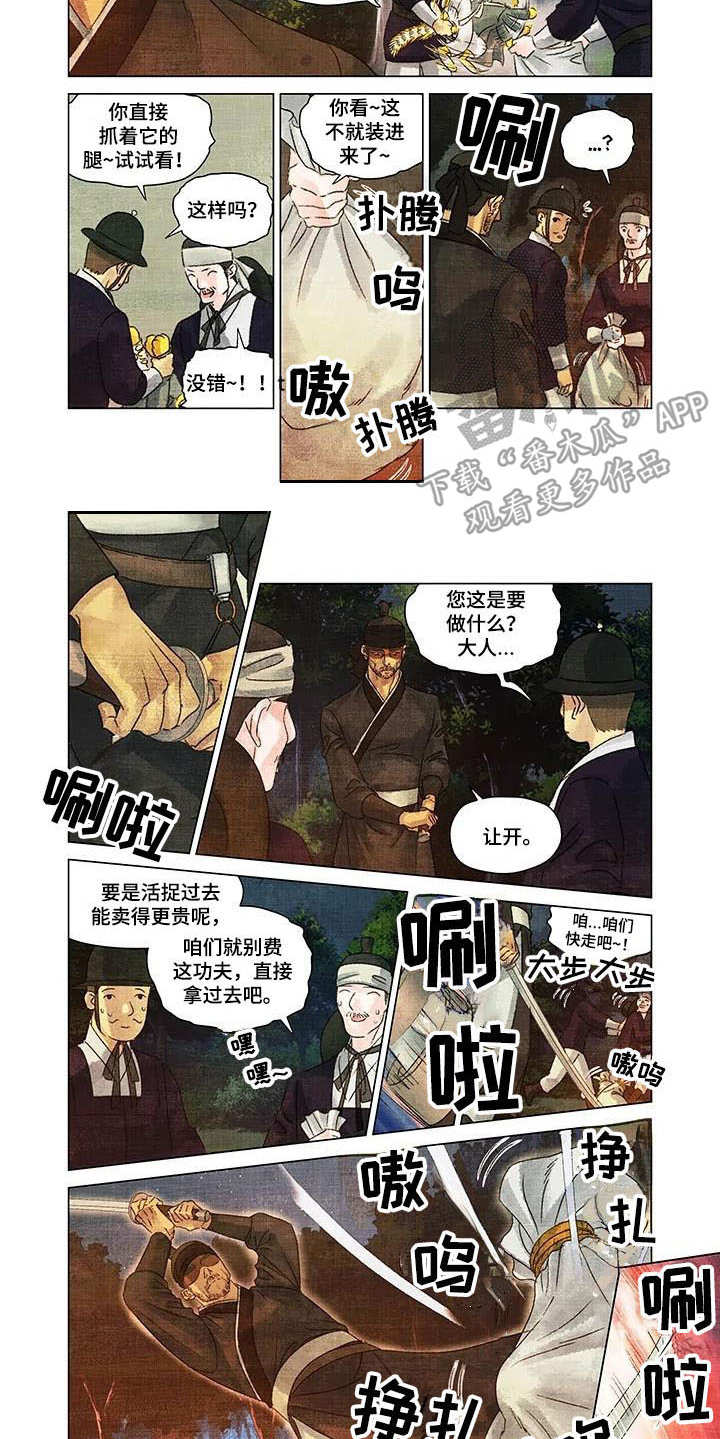 第一百个客人阅读理解答案漫画,第4章：小虎崽2图