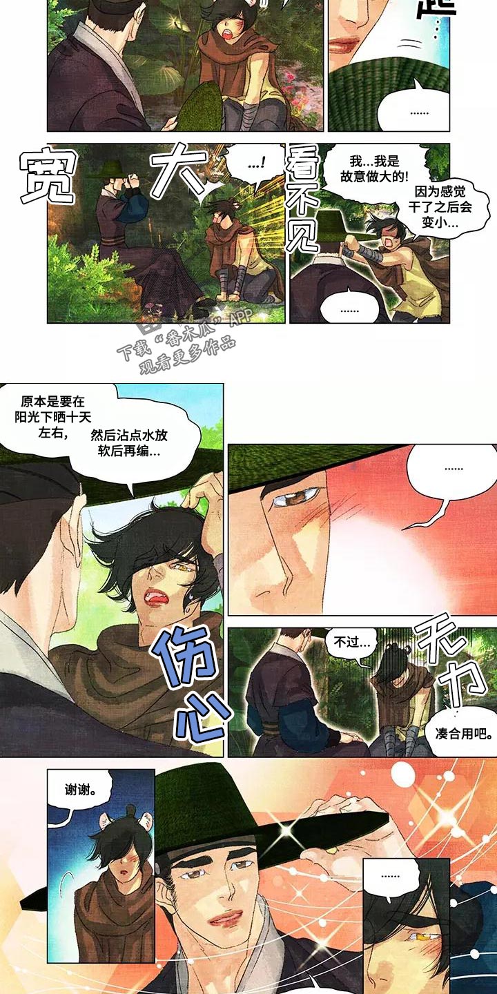 第一百个质数是什么漫画,第47章：草帽1图