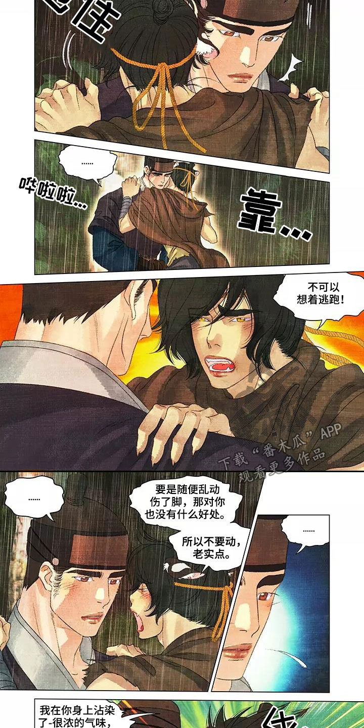 第一百个夜晚 贾浅浅 电子书漫画,第36章：搜山2图