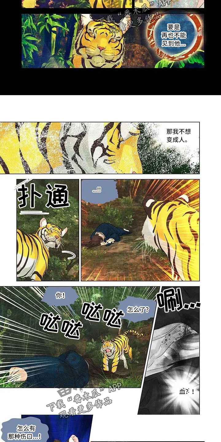 第一百个质数是什么漫画,第64章：没法止血1图