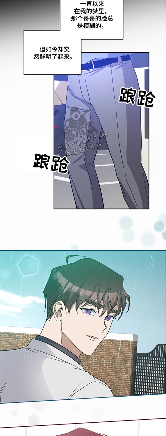 待在绿匣里的猫漫画,第72章：争斗2图