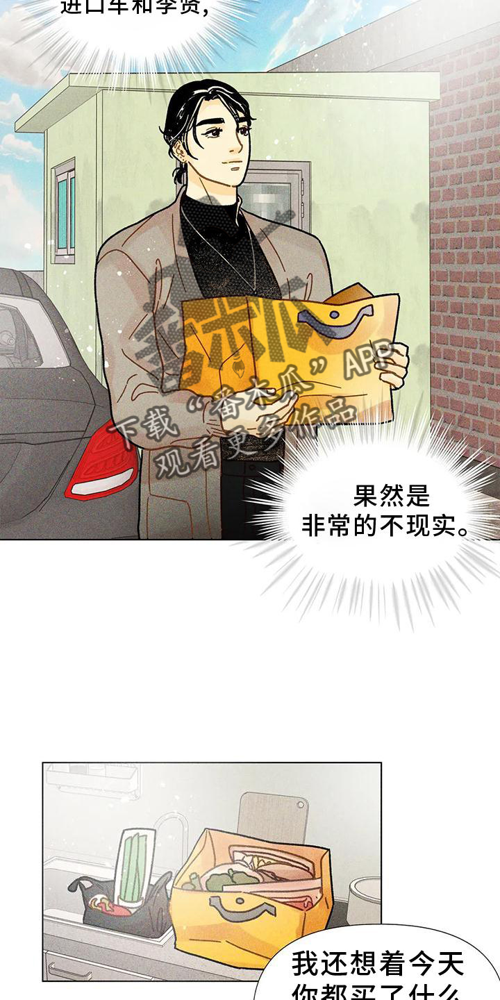 钻石项链漫画,第25章：到底是什么2图