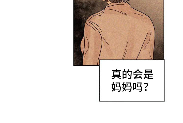 钻石一克拉多少钱漫画,第14章：私信2图