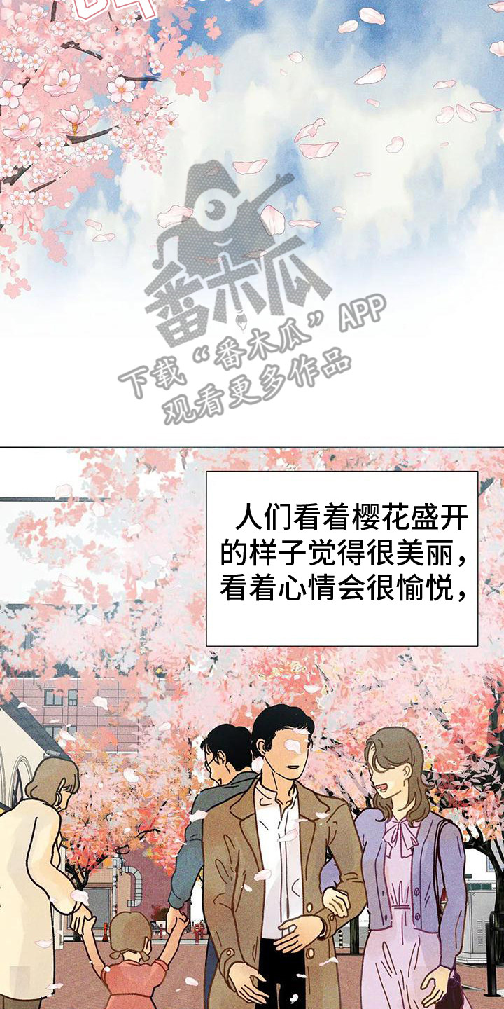 钻石卡抖音漫画,第5章：看入迷2图