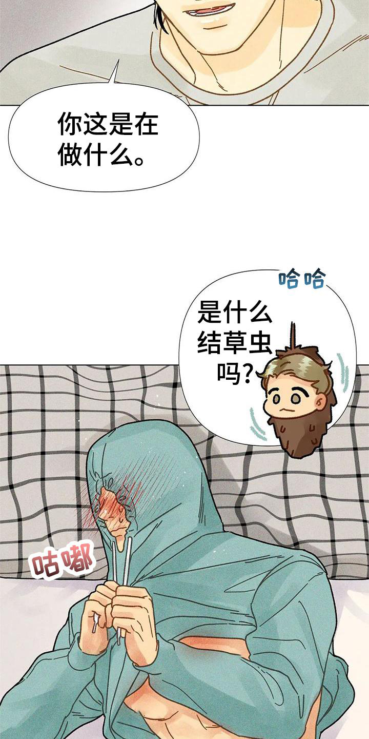 钻石破碎漫画,第36章：圣诞快乐1图