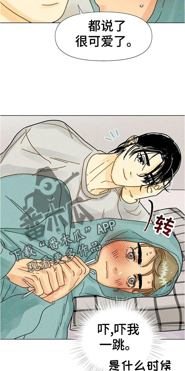 钻石破碎漫画,第36章：圣诞快乐2图