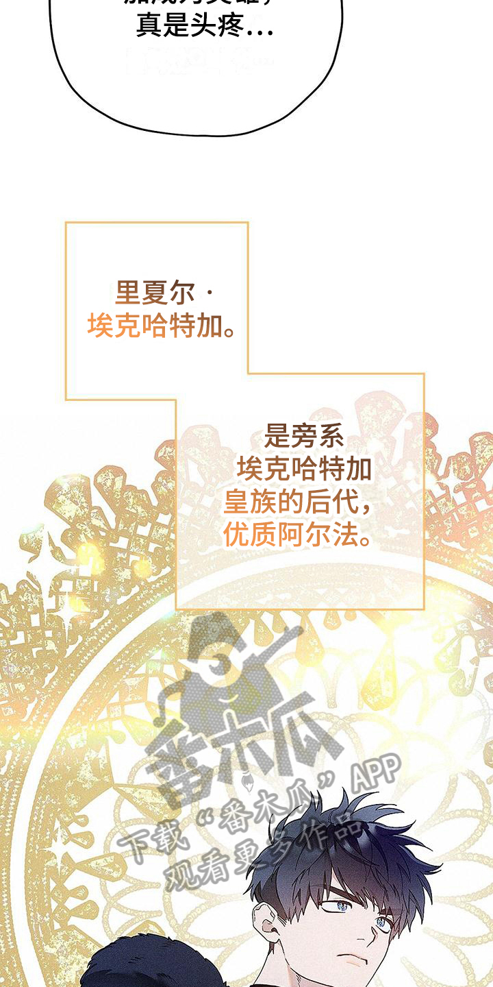 皇室权谋车漫画,第6章：竞争1图