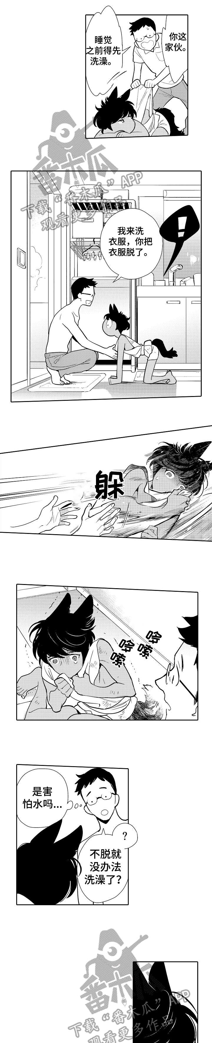 他带来了光漫画,第2章：伤痕1图