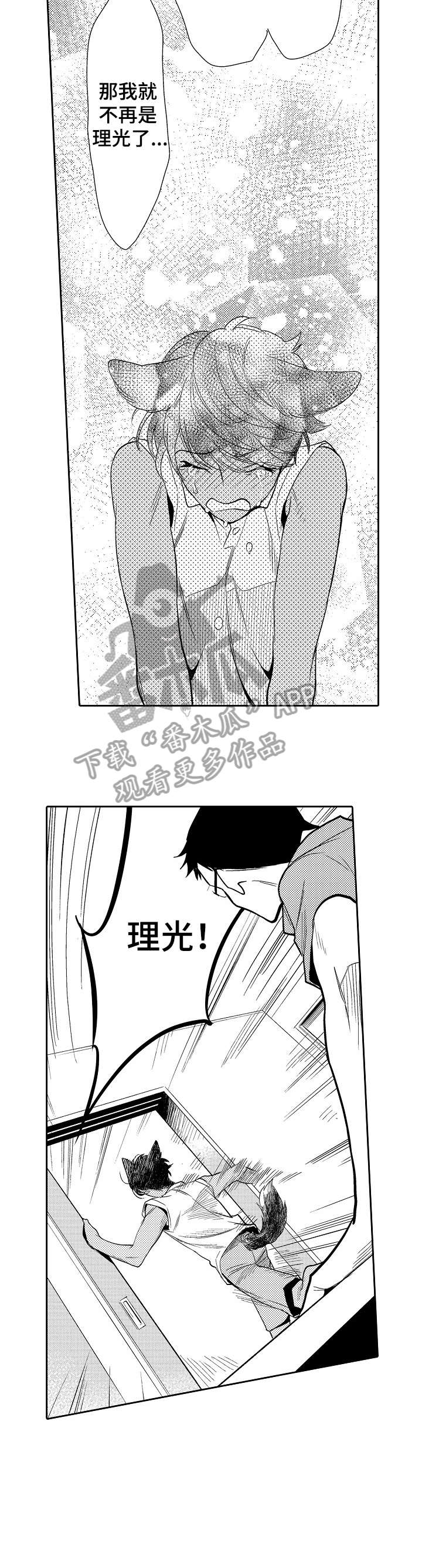 他带来了光漫画,第17章：不需要1图