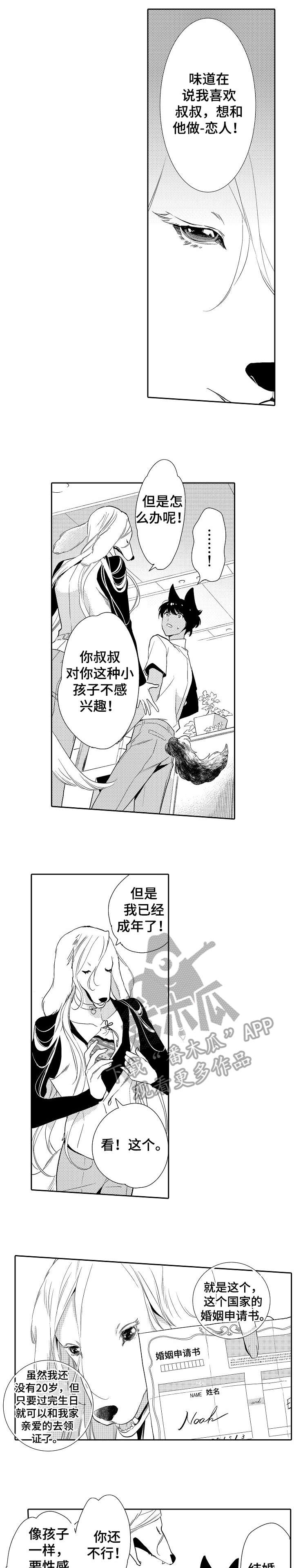 他带来了光漫画,第14章：恋人1图