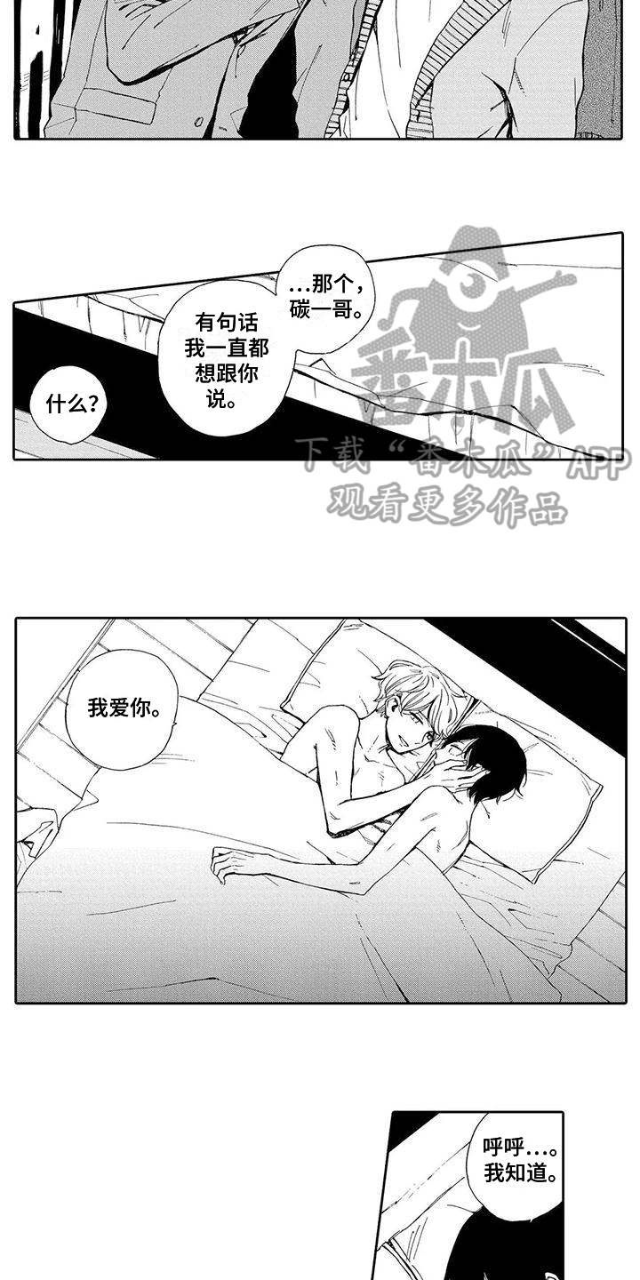 达芬奇最后的晚餐秘密漫画,第19章：【番外】我爱你1图