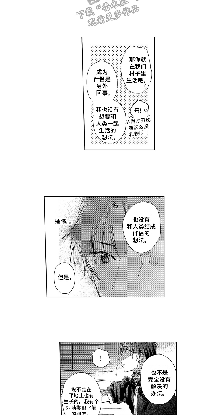 守护神的新娘漫画,第6章：保护2图