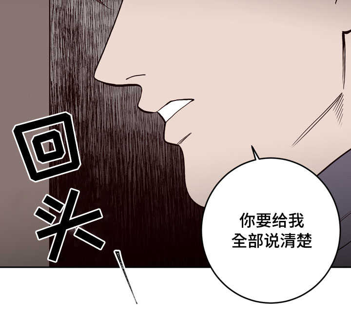 交际花盛衰记在线观看中文版漫画,第3章：说清楚1图