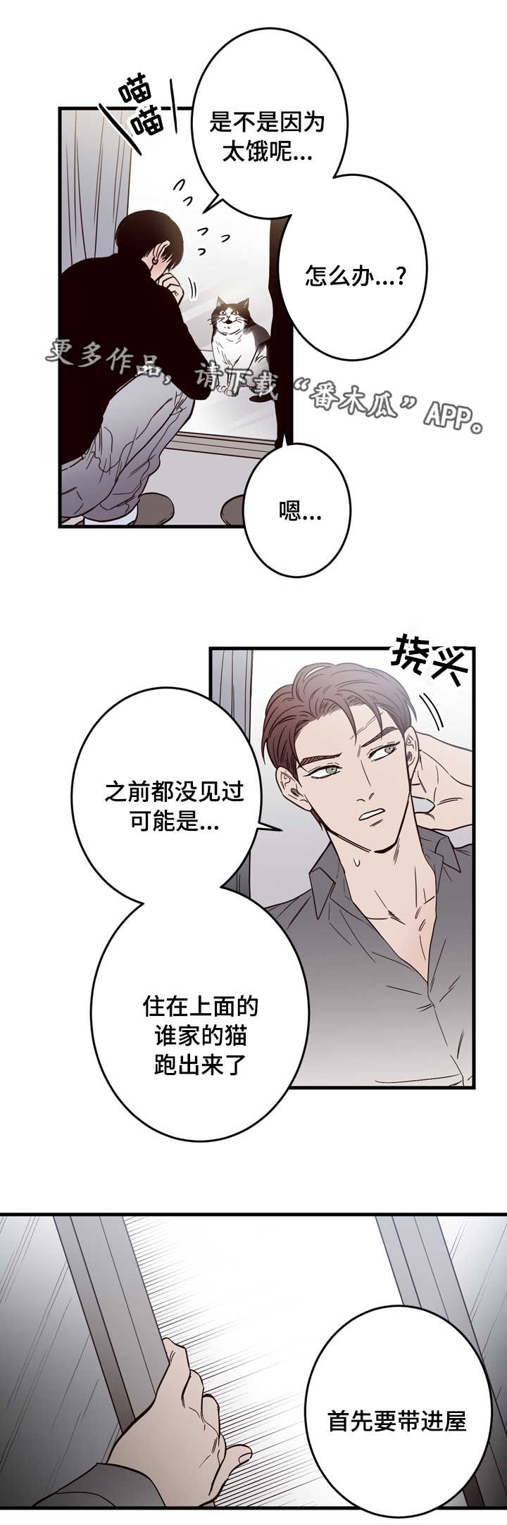 交际花盛衰记在线观看中文版漫画,第15章：窗外2图