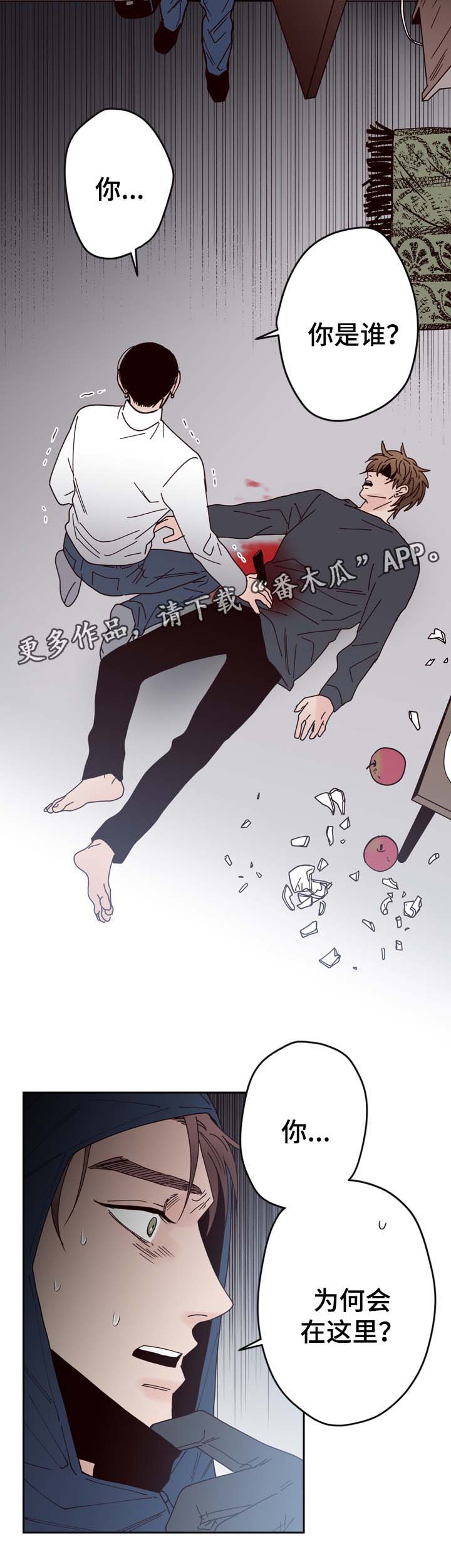 交际花盛衰记在线观看中文版漫画,第54章：刺伤2图