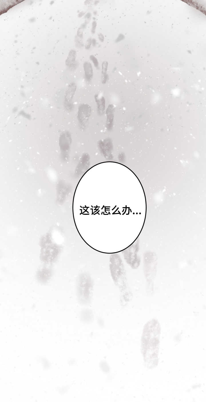 交际花盛衰记在线观看中文版漫画,第2章：杀了你2图