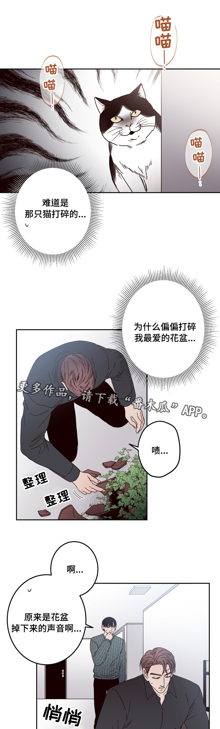 交际花盛衰记在线观看中文版漫画,第25章：警察1图