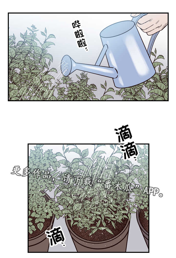 交际花盛衰记在线观看中文版漫画,第13章：一切有我1图