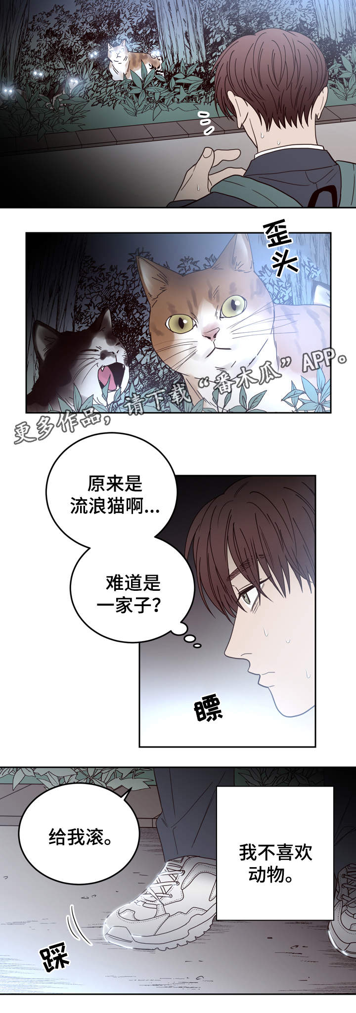 交际花盛衰记在线观看中文版漫画,第44章：校园欺凌2图