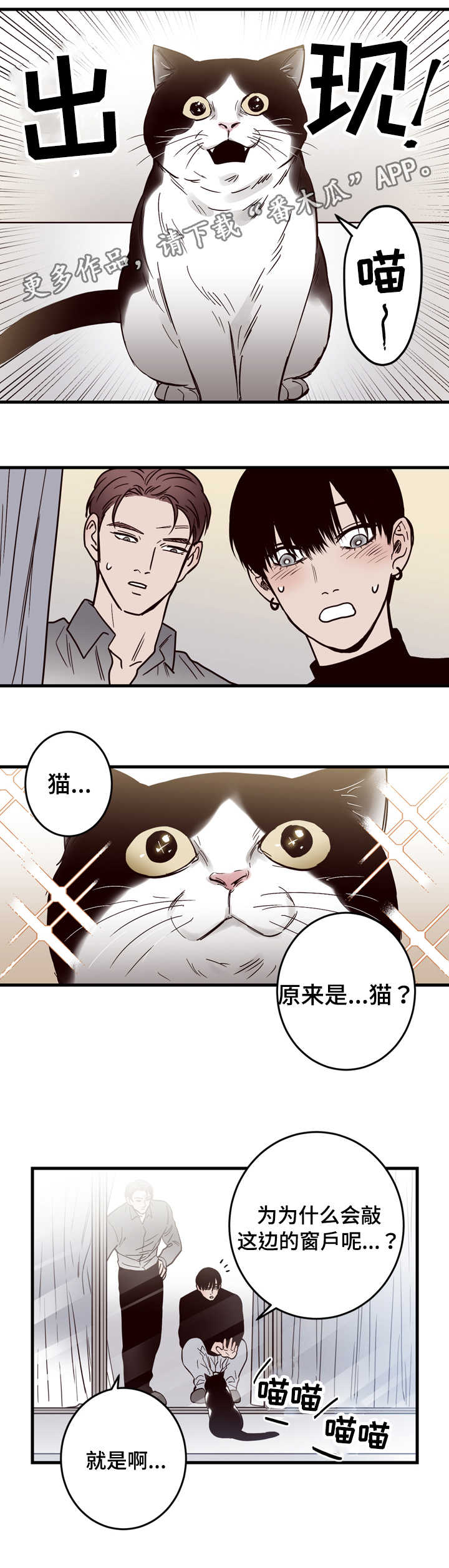 交际花盛衰记在线观看中文版漫画,第15章：窗外1图
