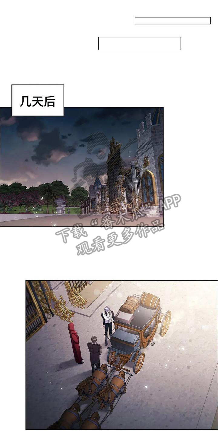 fate命运之夜恶兆之花漫画,第30章：合作1图