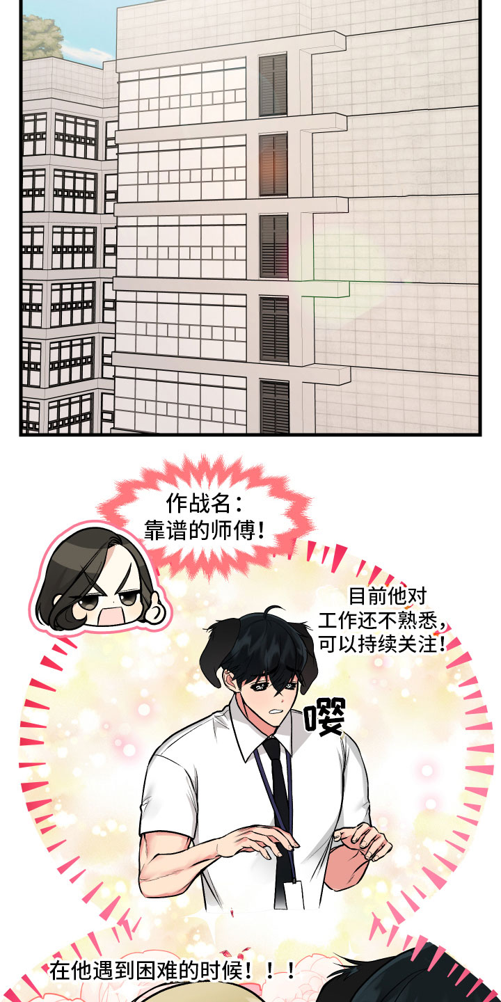 纸箱整改报告格式范文模板漫画,第6章：助攻2图