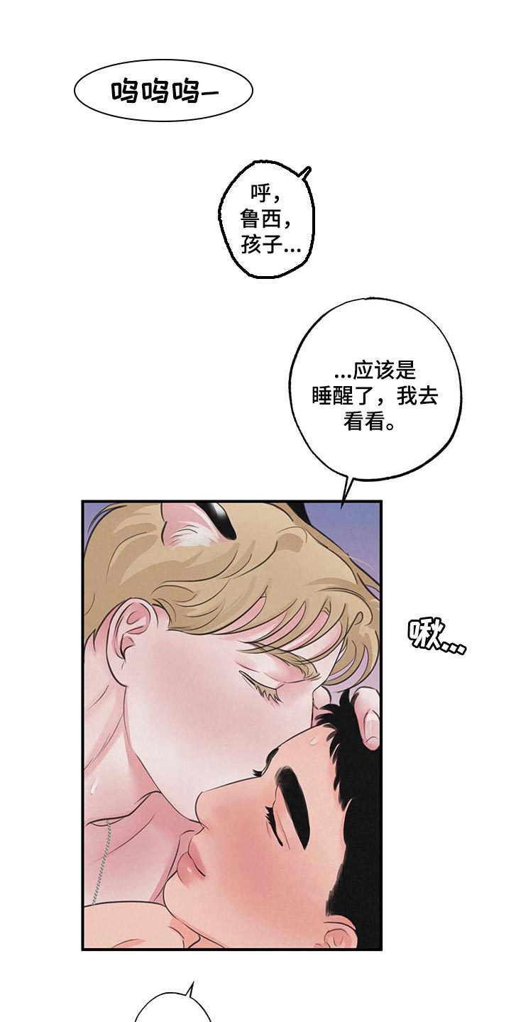 野性之美漫画,第16章：【第二季】完美生活1图