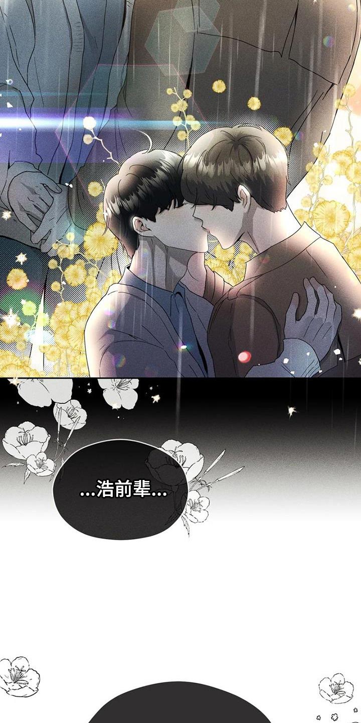 免费战斗漫画漫画,第33章：真心1图