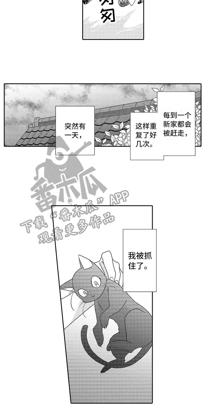 山神是道家还是佛家漫画,第4章：心情奇怪1图