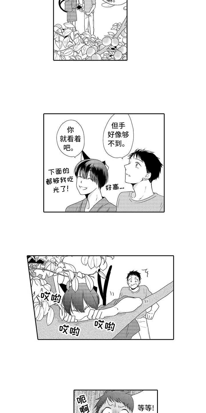 山神是恶鬼么漫画,第3章：摘果子1图