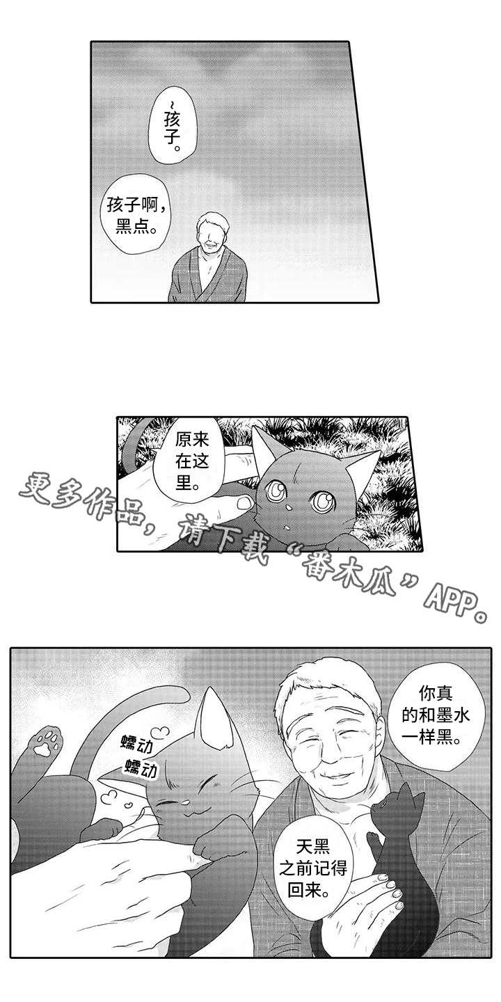 山神是道家还是佛家漫画,第4章：心情奇怪1图