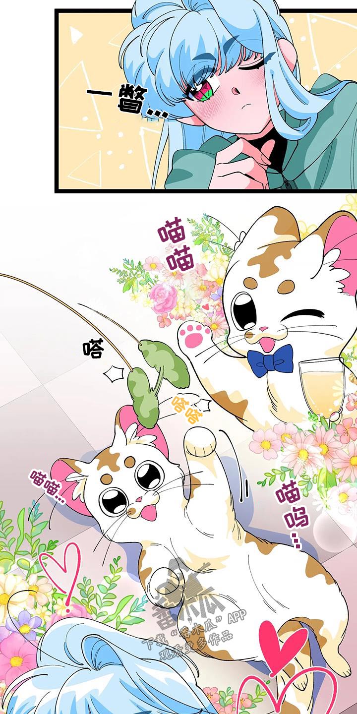 融化的蛋糕漫画,第56章：【番外】小猫2图