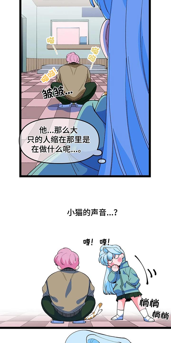 融化的蛋糕漫画,第56章：【番外】小猫1图
