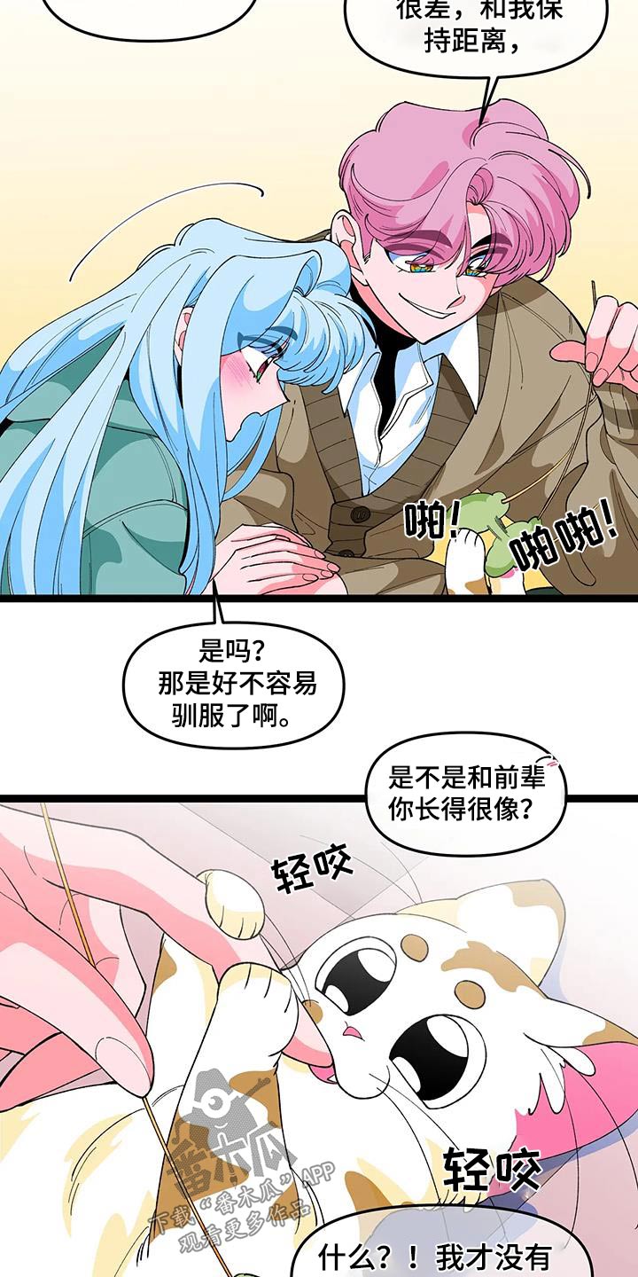 融化的蛋糕漫画,第56章：【番外】小猫2图