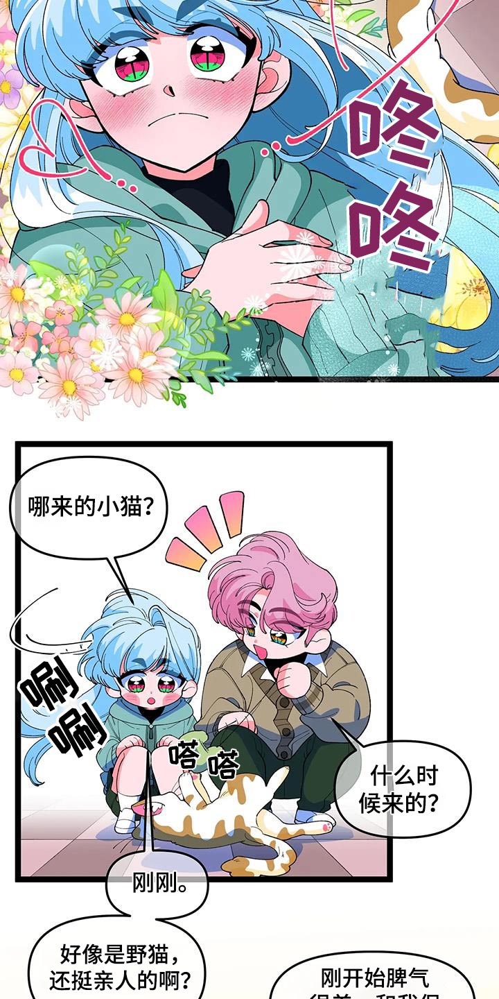 融化的蛋糕漫画,第56章：【番外】小猫1图