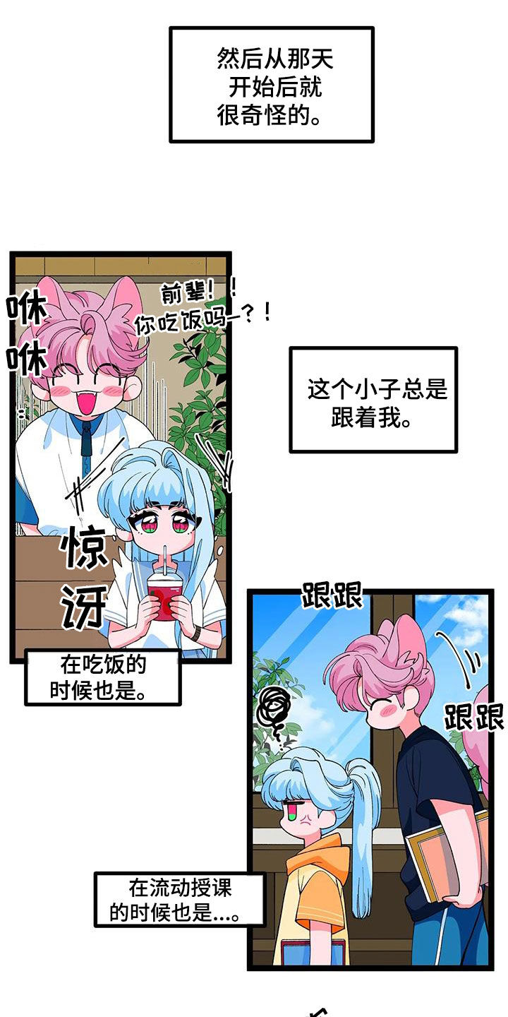融化的蛋糕漫画,第50章：【番外】告白2图
