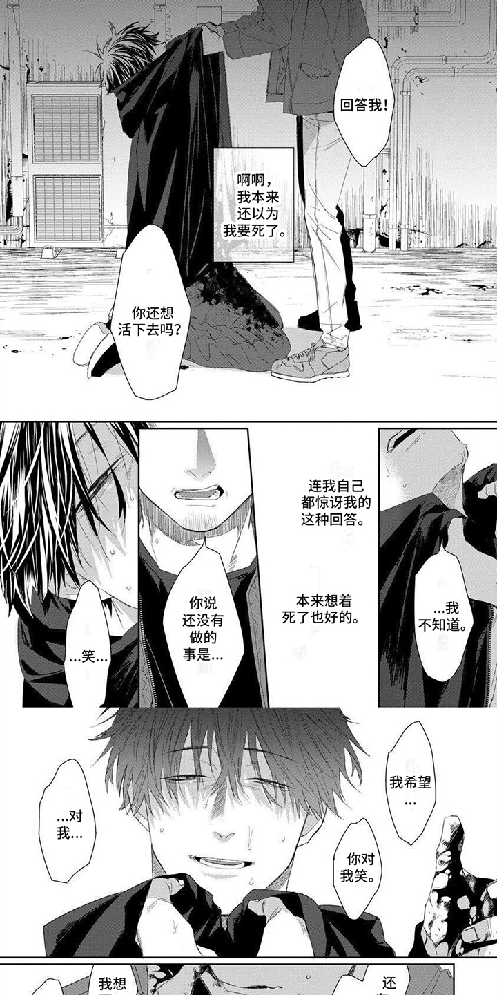 魔女和猫的藏身之处攻略漫画,第1章：危险工作1图